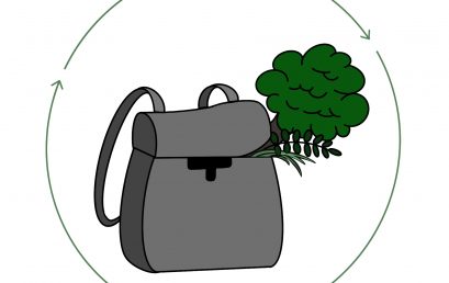 AG Klimaschule