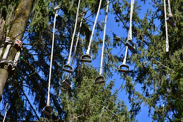 Exkursionstag der 7d im Kletterpark Exkursionstag der 7d im Kletterpark
